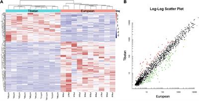 Identification of a miRNA–mRNA Regulatory Networks in Placental Tissue Associated With Tibetan High Altitude Adaptation